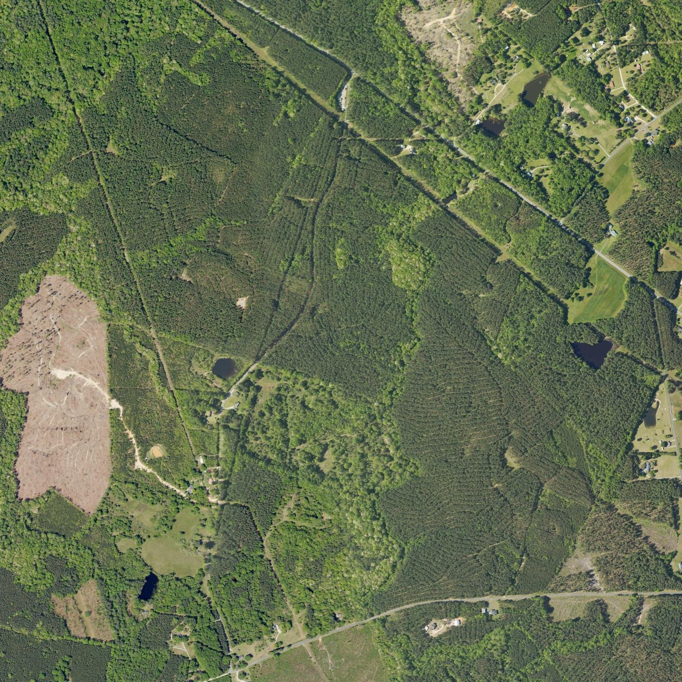 CVTR (aerial imagery)
Keywords: CVTR; aerial; NAIP