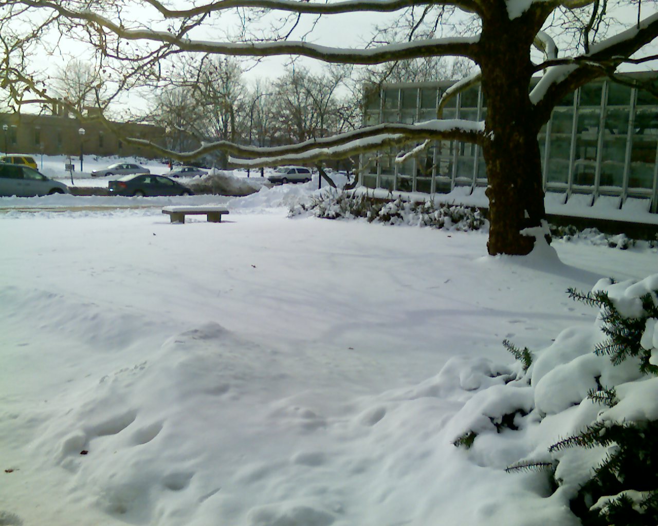 Phenox Memorial lab (Green House)
