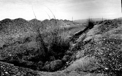 Hanford Ditch 216-B (B-2-3)
This ditch is used to dispose of large quantities of contaminated water from plutonium production operations. The water contains radioactive and toxic chemical contaminants. Sand soil is meant to act as a natural filter for the water as it percolates down to the water table. 200 Area, Hanford Reservation, Richland, Washington. November 16, 1984.
Keywords: Hanford Reservation, Richland, Washington