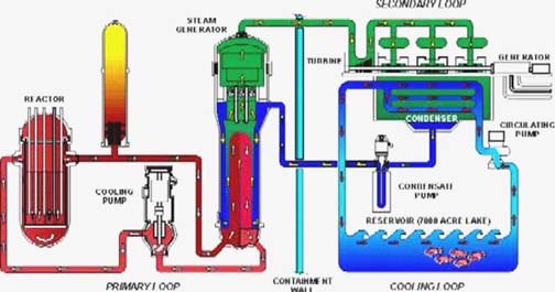 Three separate, sealed systems use reactor heat to generate electricity
Keywords: South Texas Project Nuclear Power Plant STP