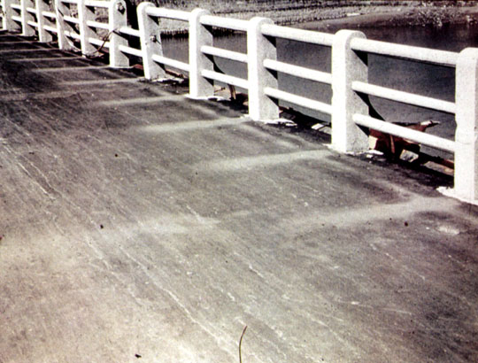 Shadows on a bridge
The shadow of the parapets are imprinted on the surface of the bridge, 2,890 feet (880 meters) south-south-west of the hypocenter. These shadows give a clue as to the exact location of the hypocenter.
