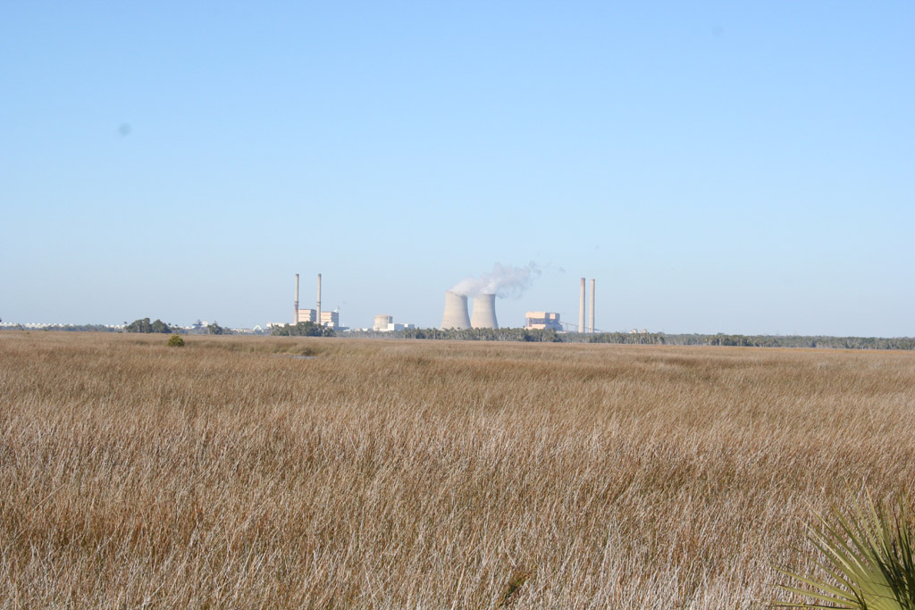 Crystal River Complex
Crystal River Units 1&2 (Coal), Crystal River Unit 3 (Crystal River Nuclear Plant), and Crystal River Units 4&5 (Coal). 
