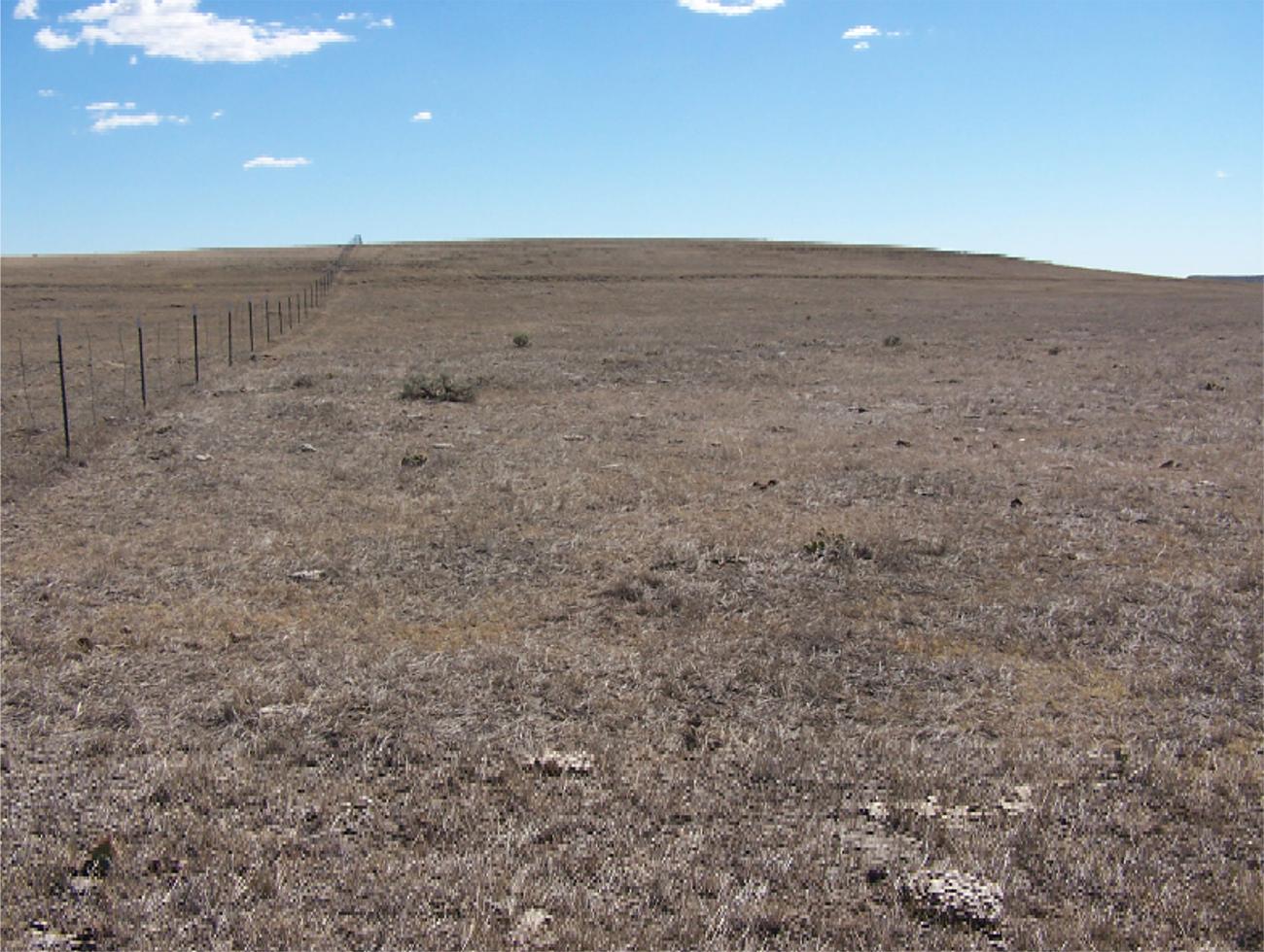 View east along the north fence line of Edgemont Site.
