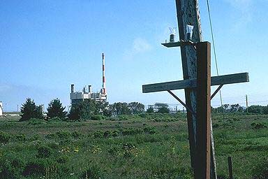 Humboldt Bay nuclear reactor, Fields Landing, near Eureka, CA
Keywords: Humboldt Bay nuclear power plant south of Eureka