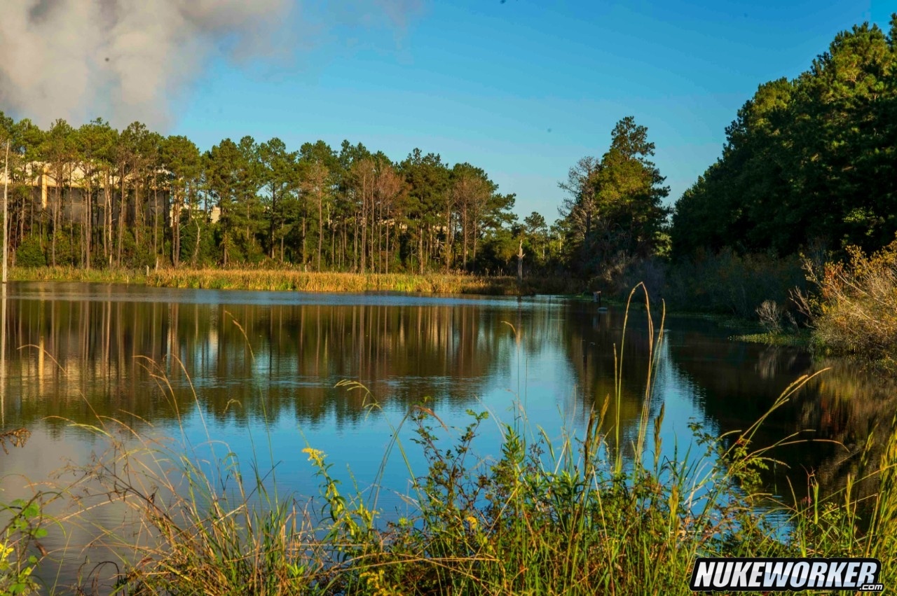 Plant Farley Alabama  Pond
