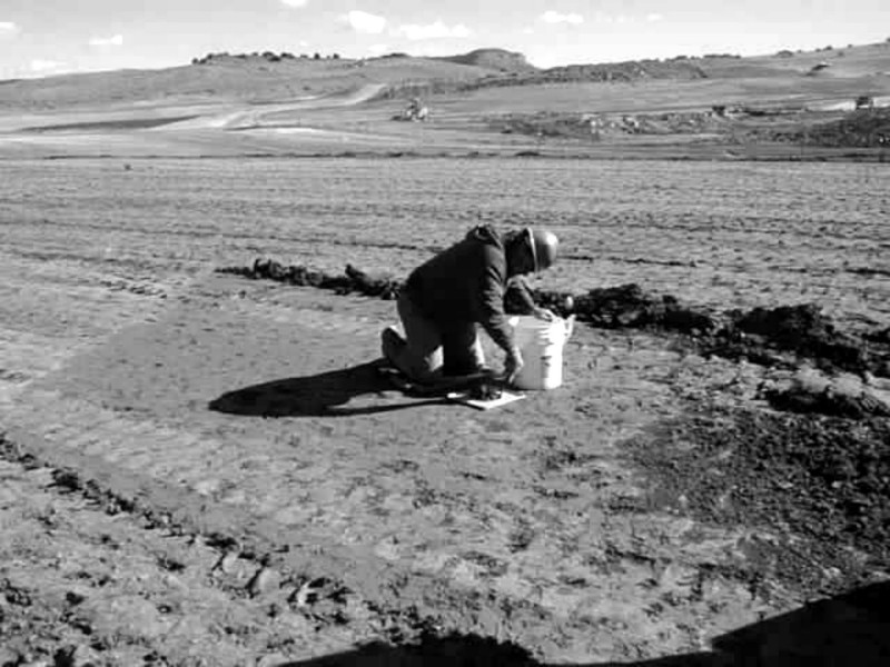 L Bar uranium mill tailings site
Keywords: UMTRA