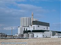 dungeness.jpg