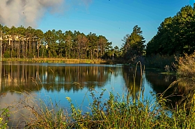 plant-farley-alabama-pond.jpeg