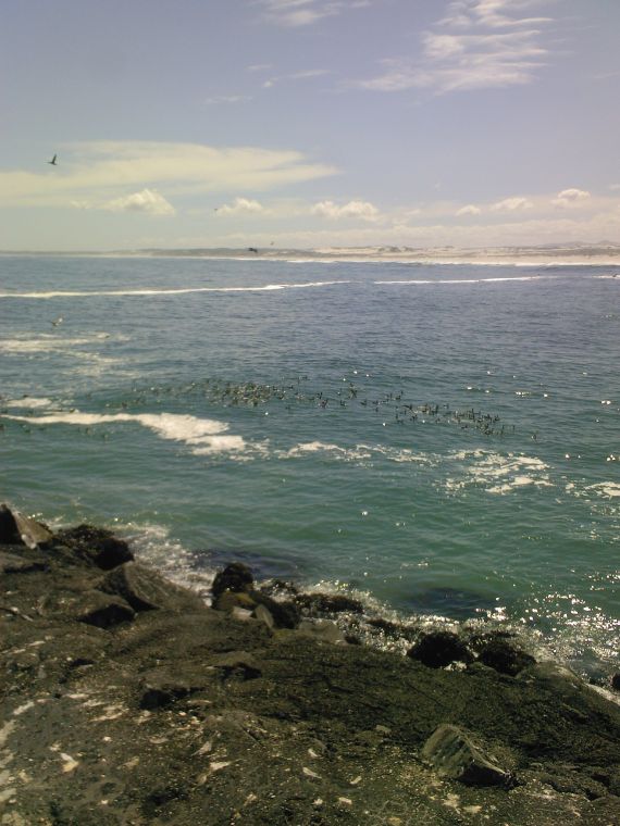 Koeberg
