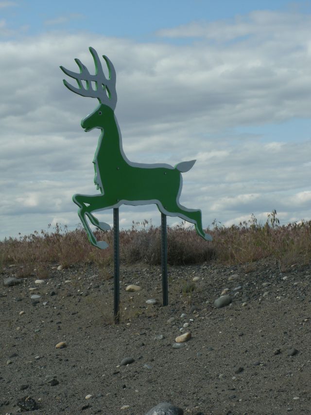 Mutant Deer Crossing
