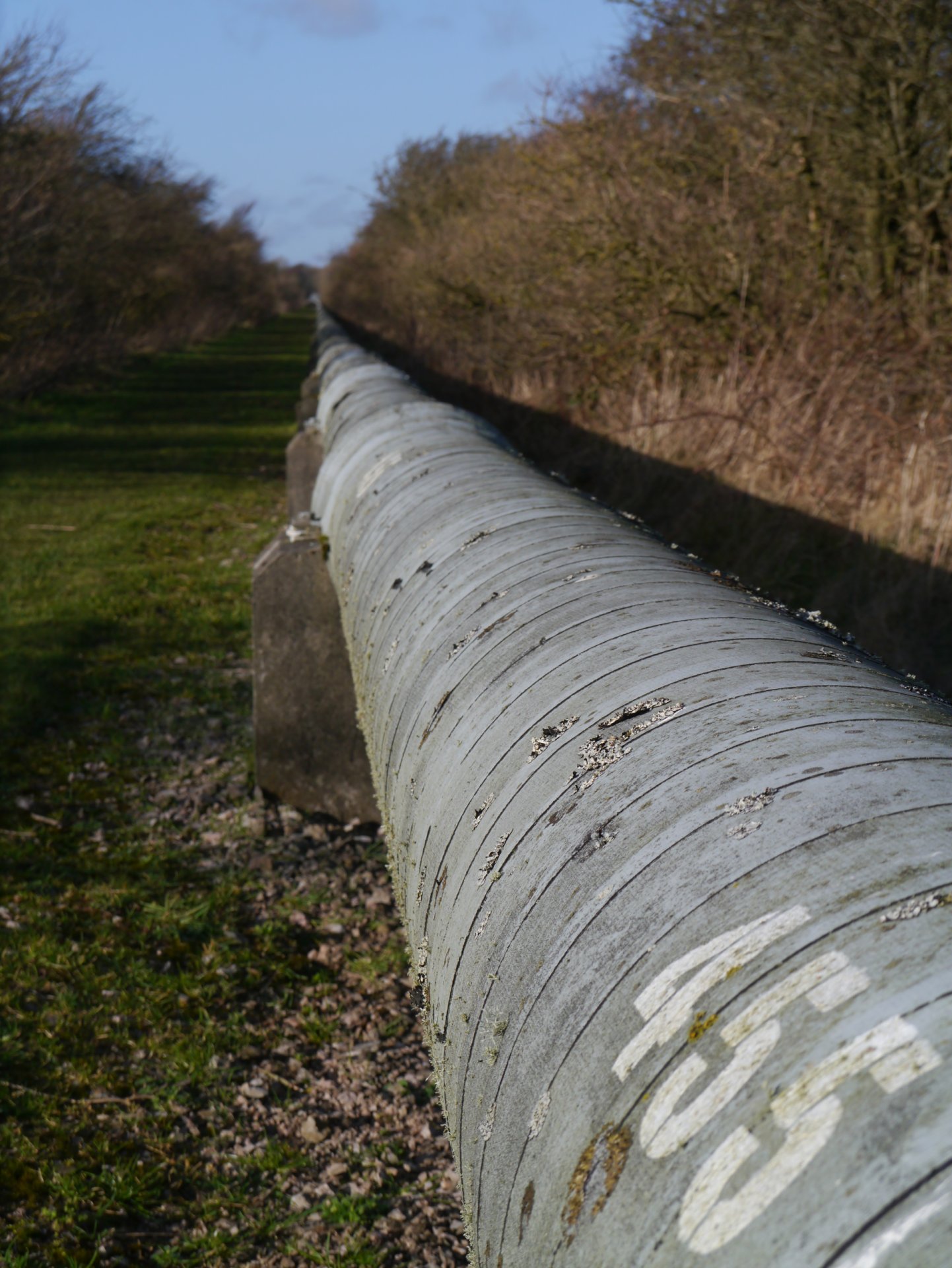 Click to view full size image
==============
455 From Chapelcross - geograph.org.uk - 3846757
Keywords: Chapelcross 455 From Chapelcross - geograph.org.uk - 3846757
Keywords: Chapelcross
