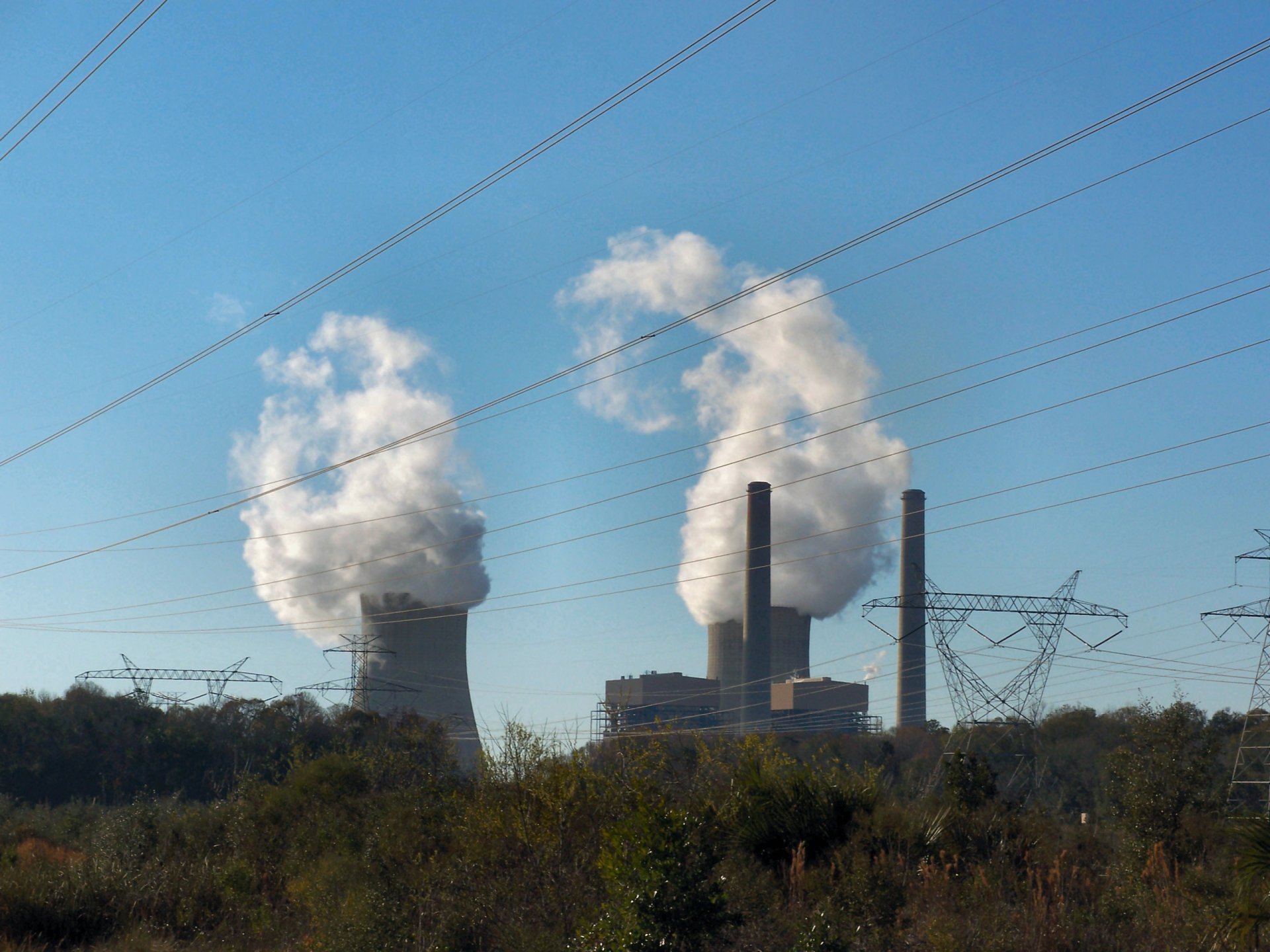 Click to view full size image
==============
Crystal River NPP01
Keywords: Crystal River Crystal River NPP01
Keywords: Crystal River
