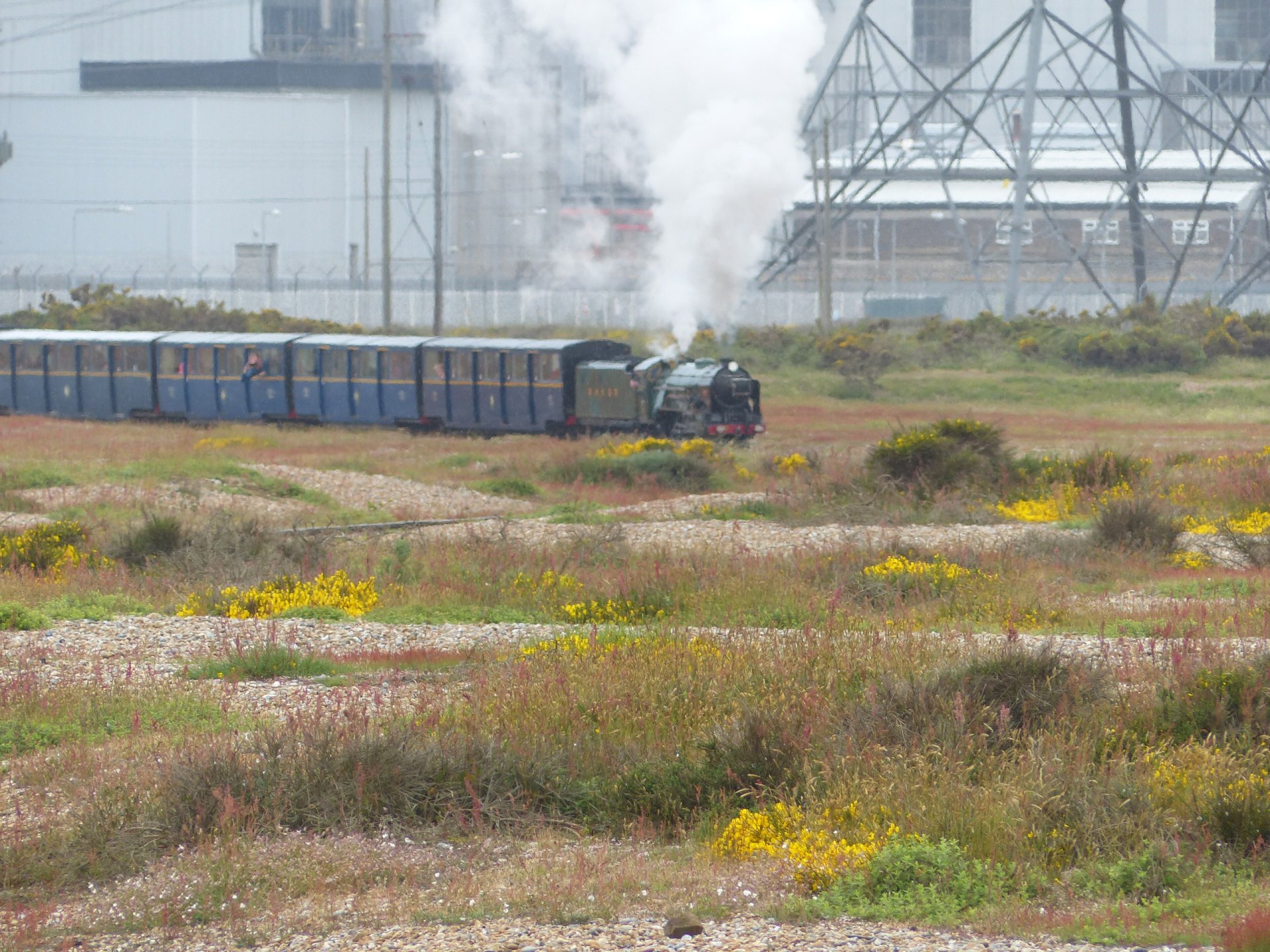 Click to view full size image
==============
RHDR ' 7' Typhoon Dungeness 1306 03
Keywords: Dungeness RHDR ' 7' Typhoon Dungeness 1306 03
Keywords: Dungeness