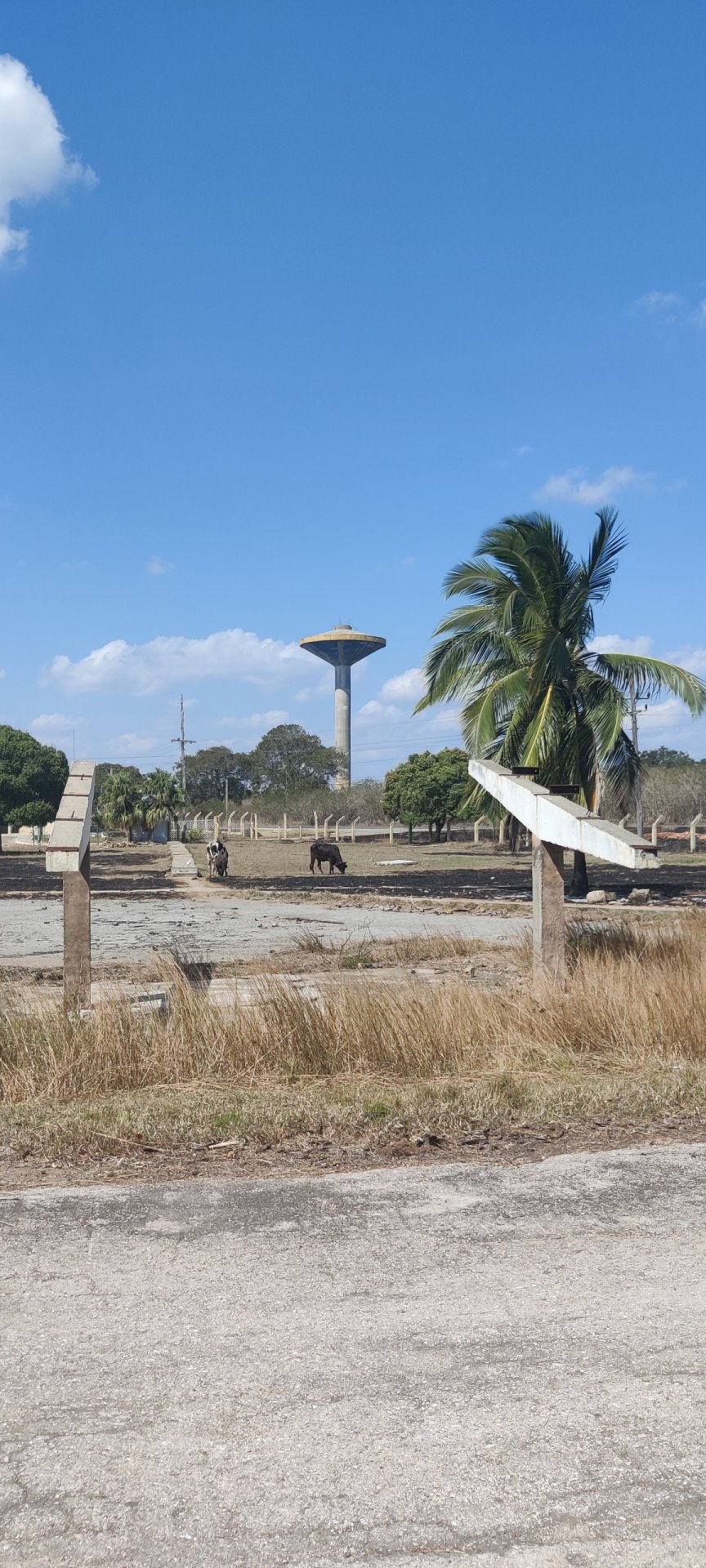 Click to view full size image
==============
Ciudad Nuclear-066
Keywords: Juragua Ciudad Nuclear-066
Keywords: Juragua