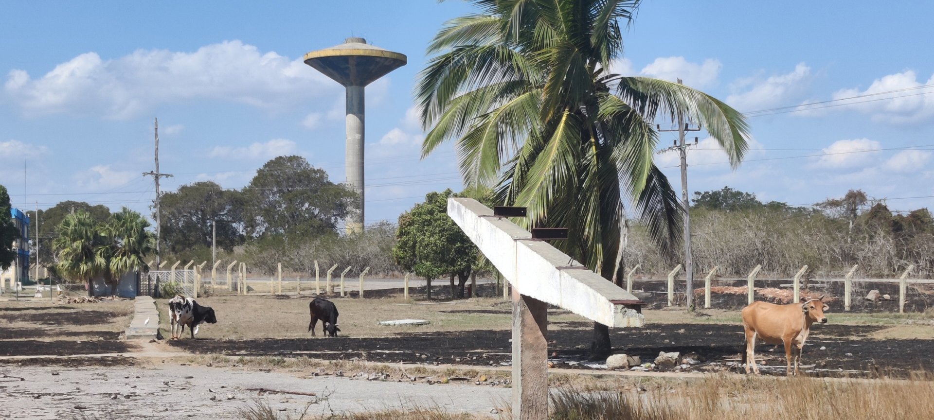 Ciudad Nuclear-067
Keywords: Juragua