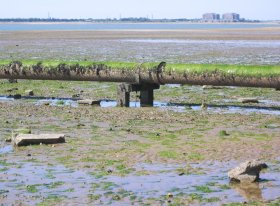 bradwell_bradwell_from_the_sewage_pipe.jpg