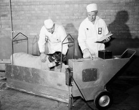 hanford_n1d0005806_hanford_sheep_testing.jpg