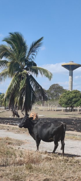 juragua_ciudad_nuclear_069.jpg