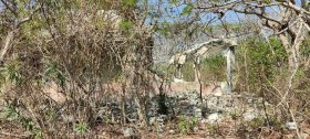 juragua_juragua_nuclear_power_plant_2023_20.jpg