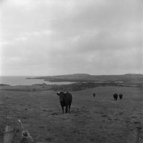 wylfa_safle_r_atomfa_yn_nhrwyn_yr_wylfa_1503582.jpg