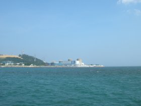 Kori distant plant across teal sea