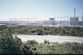 Ringhals plant behind pylons and grassland