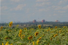 South Ukraine plant domes beyond sunflower field